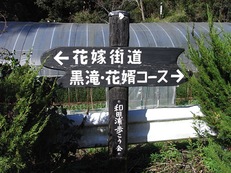２１．向かったのは、黒滝・花婿ハイキングコースです。