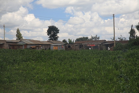 DPP_1088
