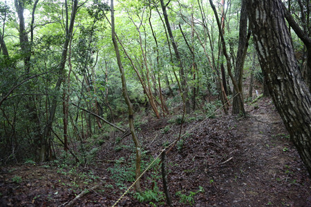 大仙山城 - 02