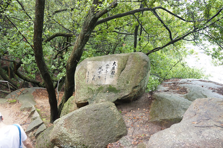 千光寺公園・文学のこみち - 14