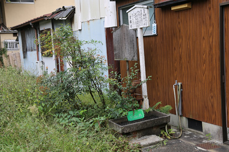 聚楽第・梅雨の井 - 1