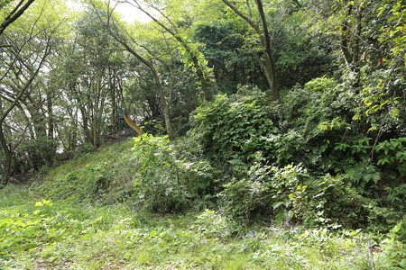 甲山城 - 01
