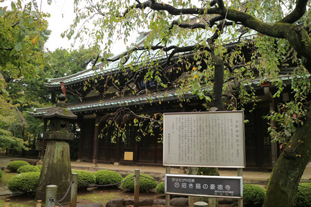 豪徳寺 (14)