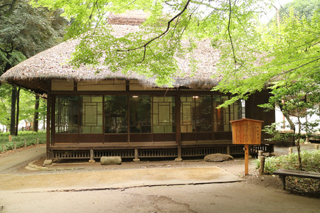 蘆花恒春園 (11)