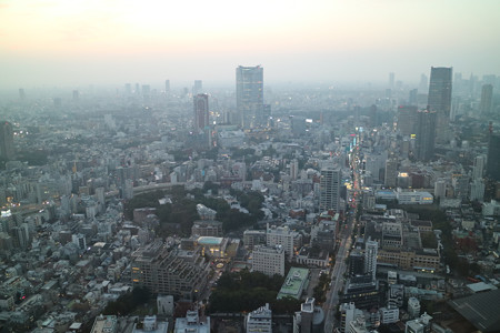 東京タワー (2)