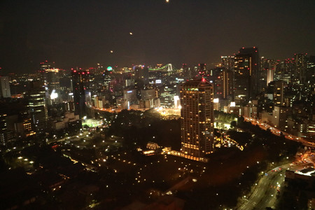 東京タワー (4)
