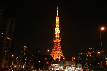 東京タワー (9)