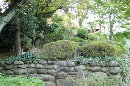 護国寺 (14)