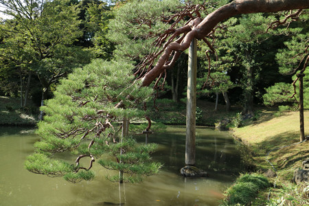 六義園 (8)