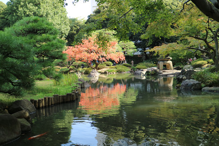 旧古河庭園 (13)