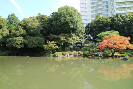 旧古河庭園 (14)