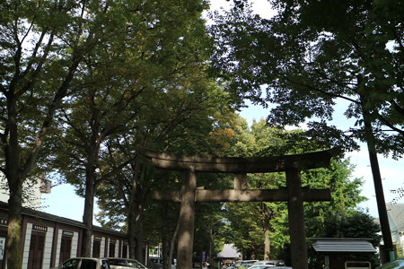 平塚城（平塚神社） (5)