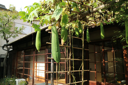 子規庵 (8)