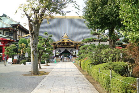 佐野厄除け大師（惣宗寺） (1)
