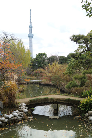 向島百花園 (7)
