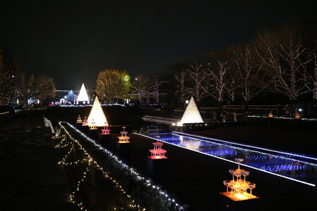国営昭和記念公園　Winter　Vista　Illumination6