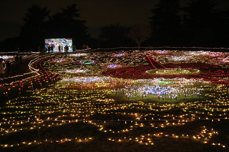 国営昭和記念公園　Winter　Vista　Illumination13