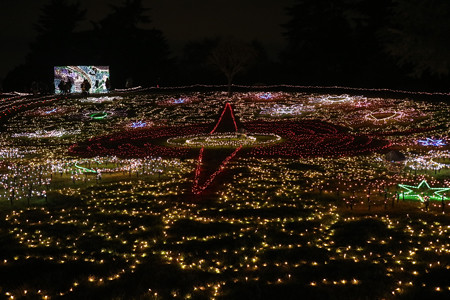 国営昭和記念公園　Winter　Vista　Illumination15
