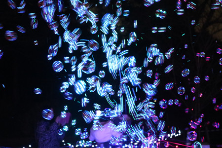 国営昭和記念公園　Winter　Vista　Illumination16