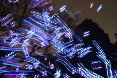 国営昭和記念公園　Winter　Vista　Illumination17