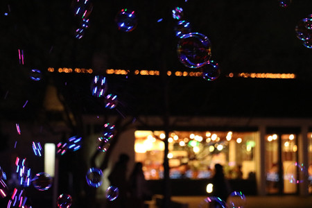 国営昭和記念公園　Winter　Vista　Illumination18