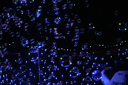 国営昭和記念公園　Winter　Vista　Illumination20
