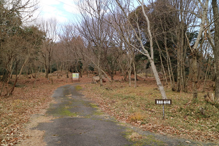 清水山城 (8)