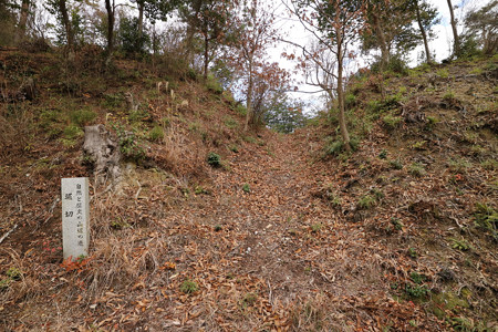 清水山城 (11)