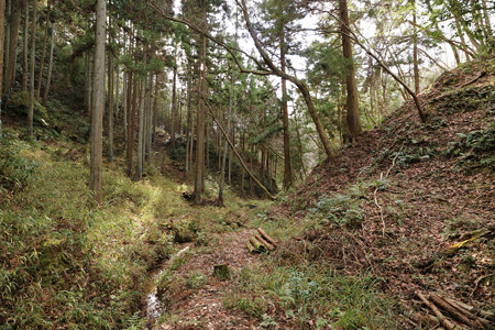 清水山城 (26)