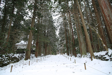 平泉寺白山神社