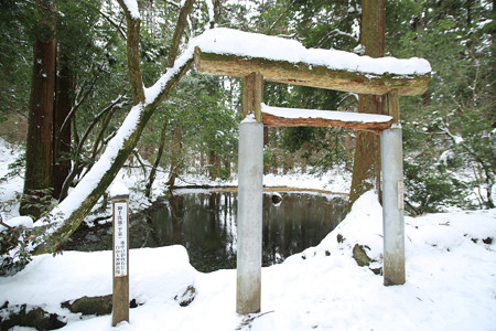 平泉寺白山神社 (1)