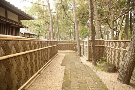 沼津御用邸記念公園 (32)