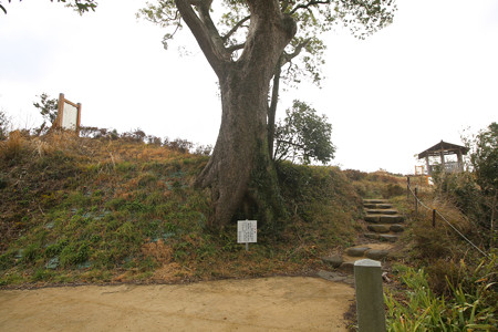 長浜城 (6)