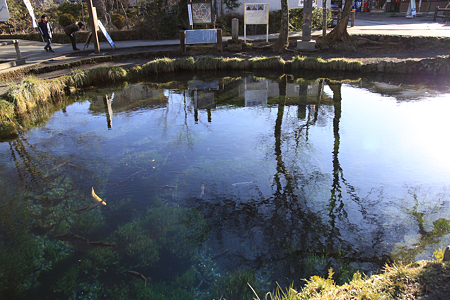 忍野八海 - 04