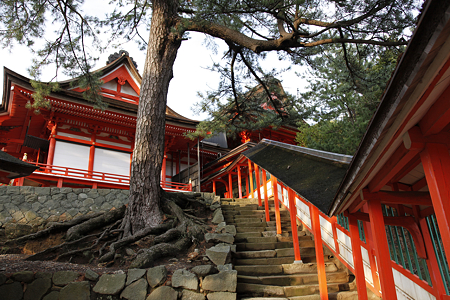 日御碕神社 - 05