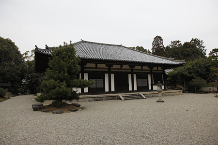 秋篠寺 - 02