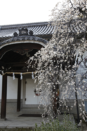 道明寺天満宮 - 26