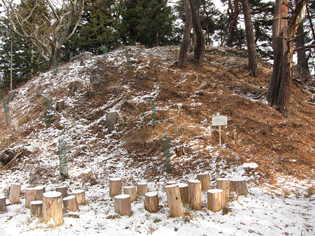 山家城 - 1