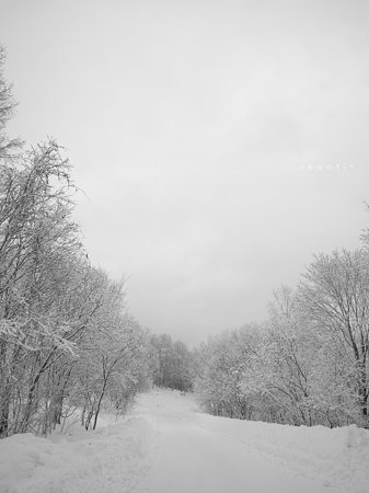 winter wonderland*3