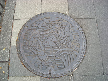 DSCN0995
