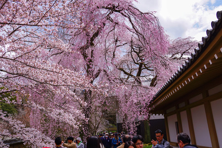 醍醐寺-霊宝館