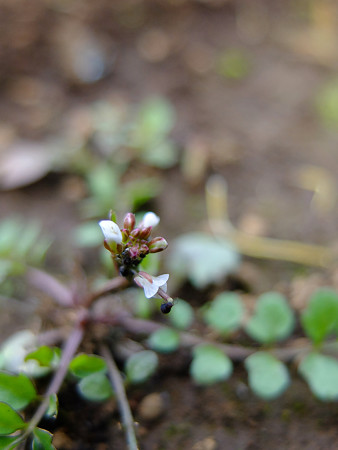 DSCF5682