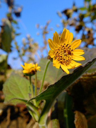 DSCF5989