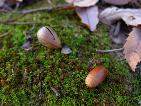 DSCF5972