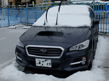 DSCF8809