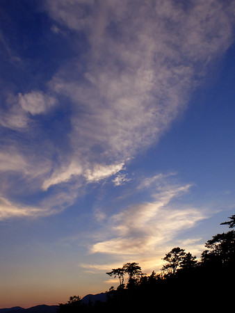 DSCF0557