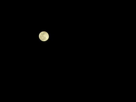 DSCF2183