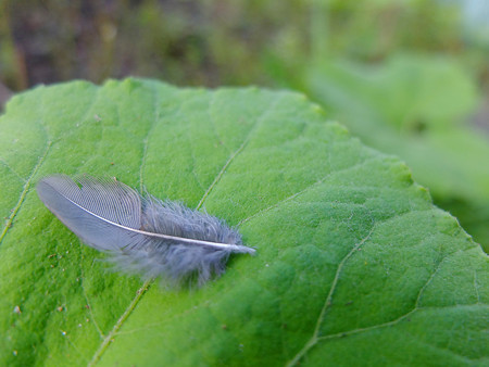 DSCF2157