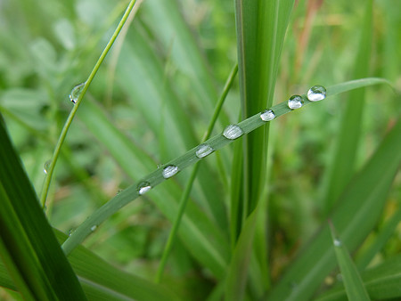 DSCF3090