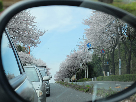 DSCF3456